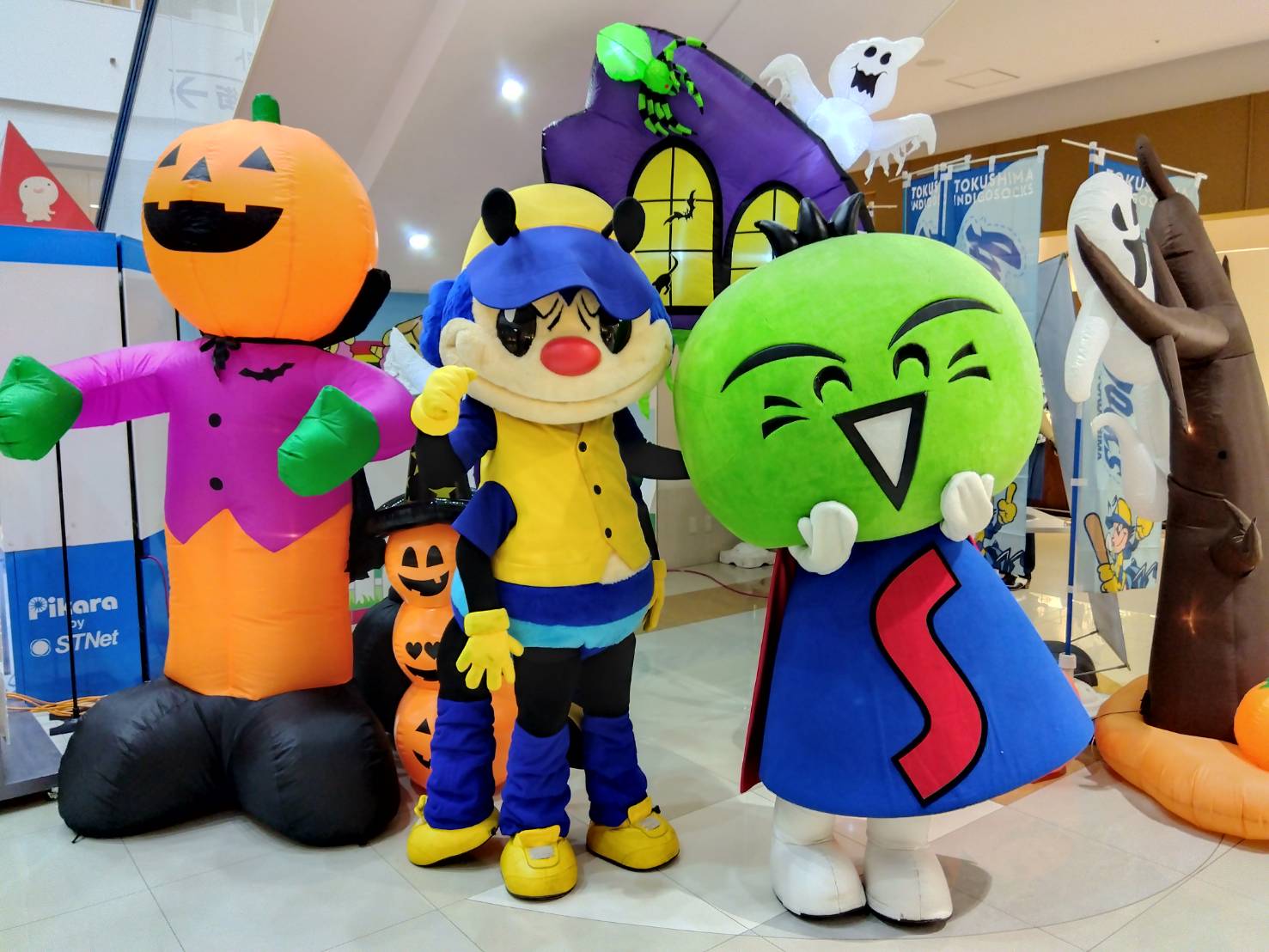 メンダコ(三色)☆ハロウィンパーティset♡ 10月26日(日)三ツ境ハロウィン2025 同日開催🎃 @mitsukyo_marche